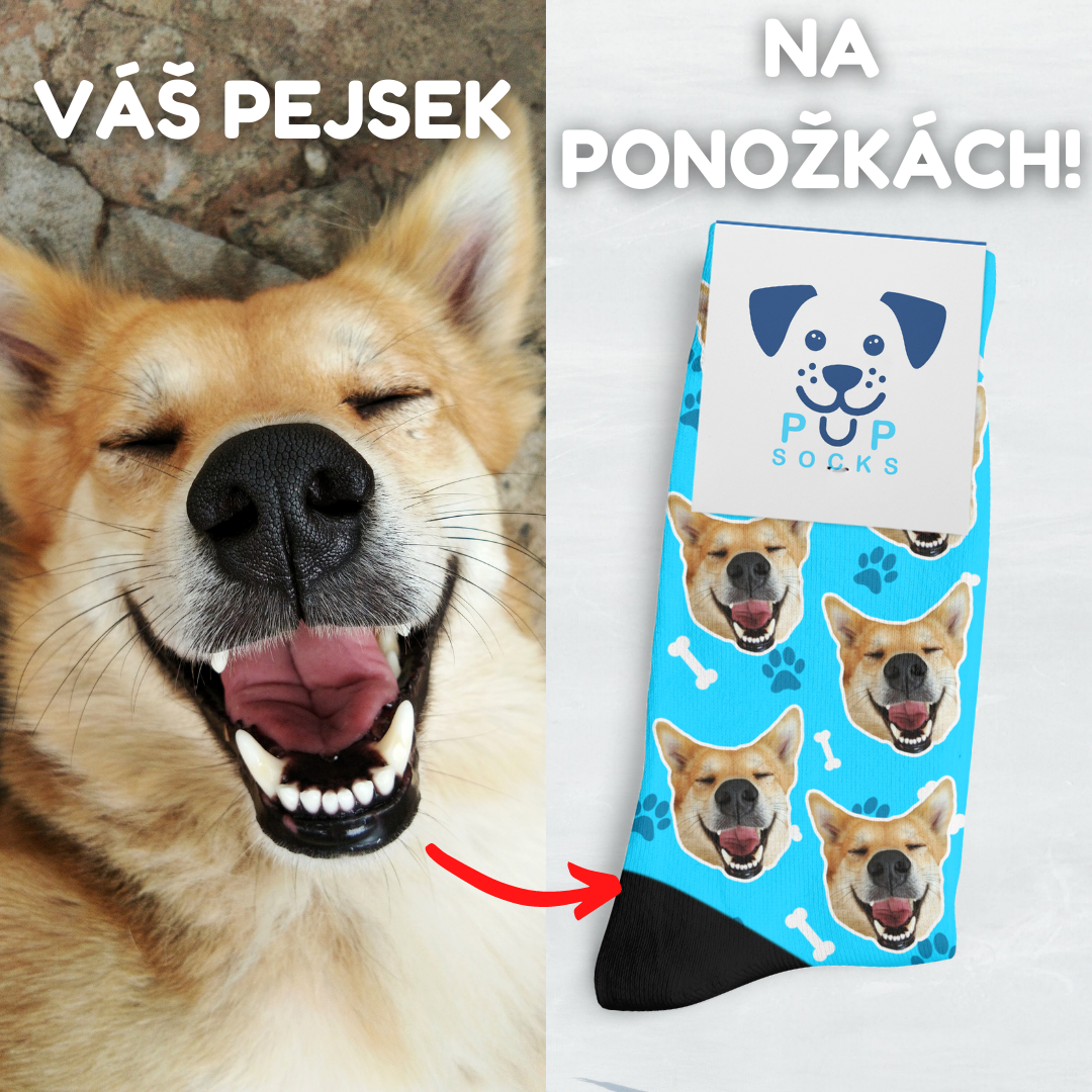 Vas-mazlicek-na-ponozkach-(11)