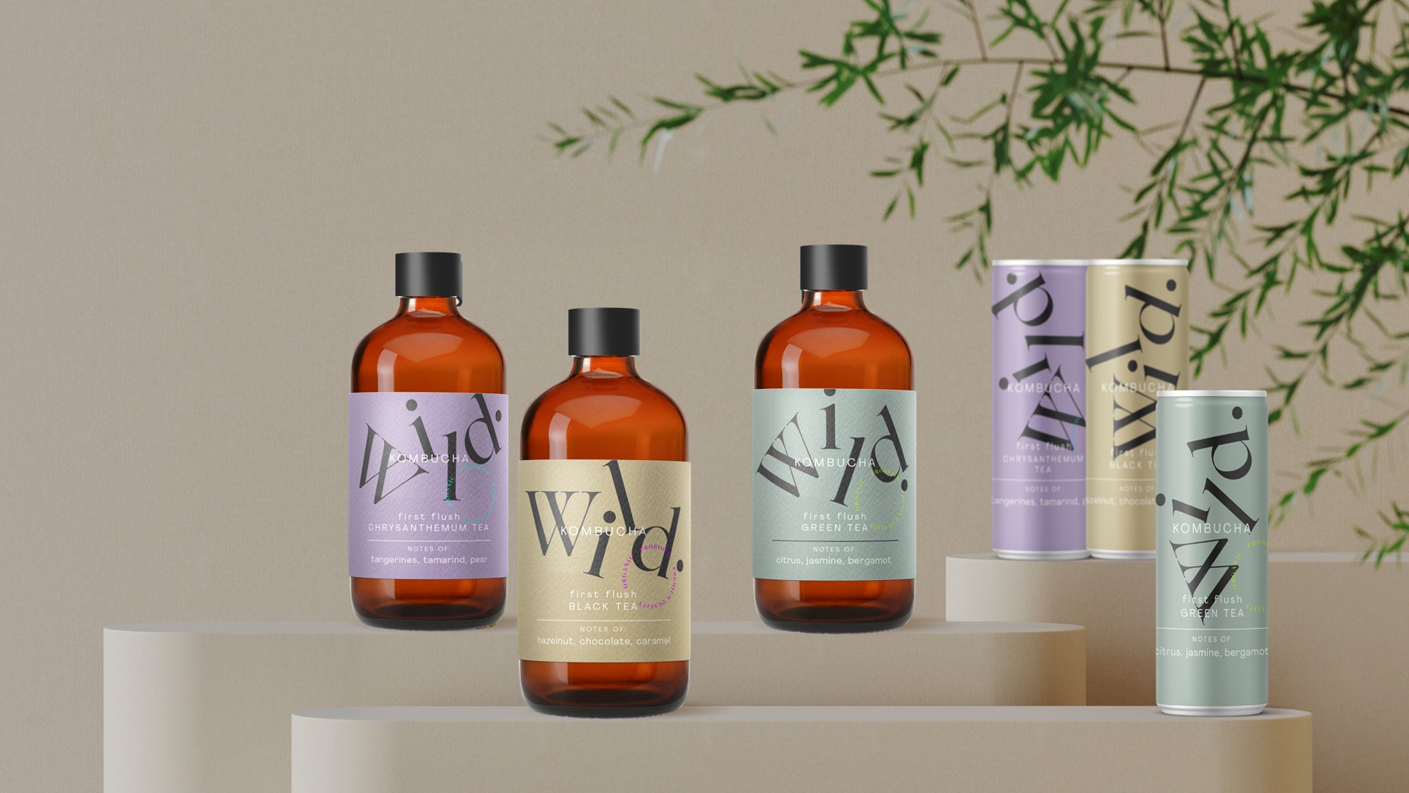 WILDkombucha