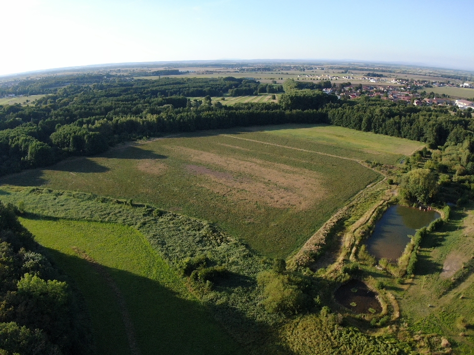 DJI_0239